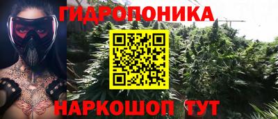 2c-b Заводоуковск