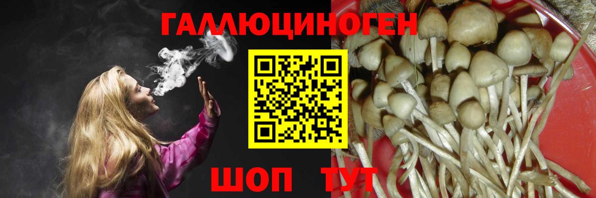 Галлюциногенные грибы мицелий  Вход с VPN  Псилоцибиновые грибы Psilocybine cubensis  Лабытнанги 